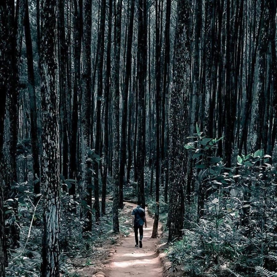 Seribu Batu Songgo Langit Resort & Camp Bantul Exterior foto